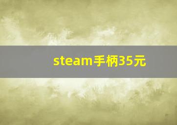 steam手柄35元