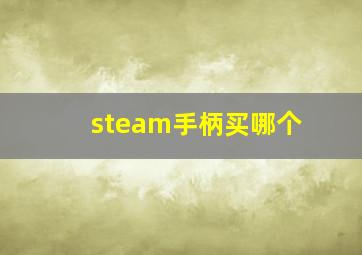 steam手柄买哪个