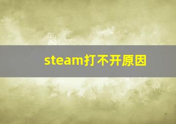 steam打不开原因