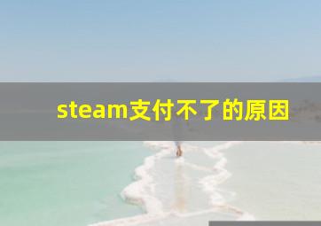 steam支付不了的原因