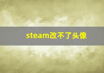 steam改不了头像