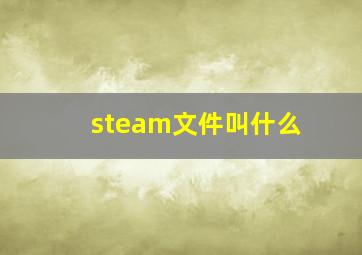 steam文件叫什么