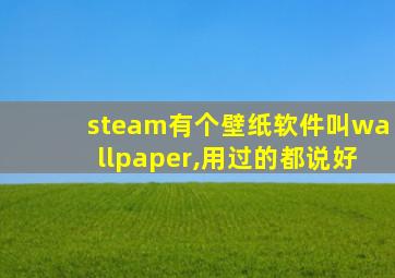 steam有个壁纸软件叫wallpaper,用过的都说好