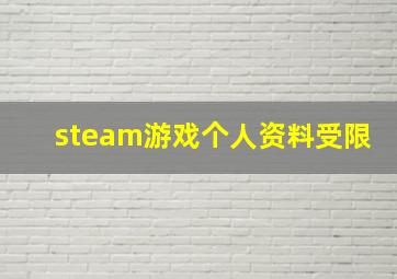 steam游戏个人资料受限