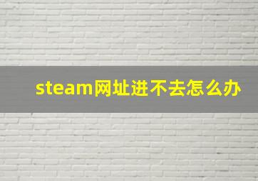 steam网址进不去怎么办