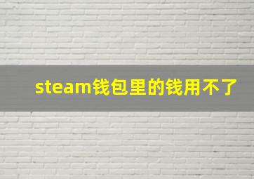 steam钱包里的钱用不了