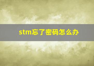 stm忘了密码怎么办