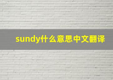 sundy什么意思中文翻译