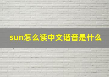 sun怎么读中文谐音是什么