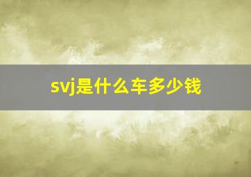 svj是什么车多少钱