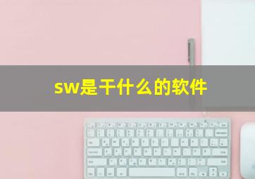 sw是干什么的软件