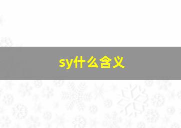 sy什么含义