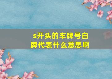 s开头的车牌号白牌代表什么意思啊