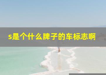 s是个什么牌子的车标志啊