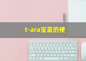 t-ara宝蓝的梗