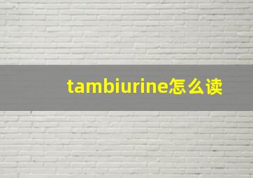 tambiurine怎么读