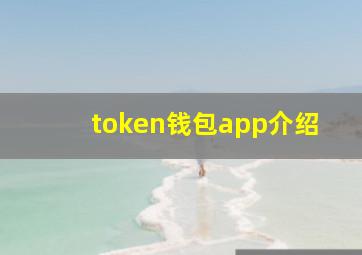 token钱包app介绍