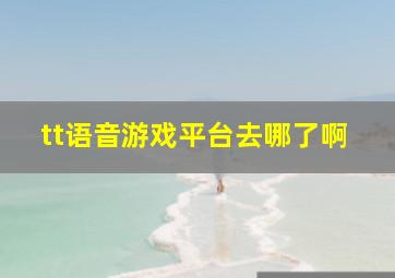 tt语音游戏平台去哪了啊