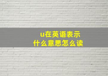 u在英语表示什么意思怎么读