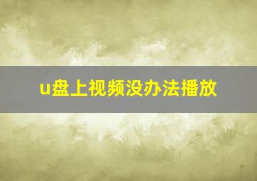 u盘上视频没办法播放