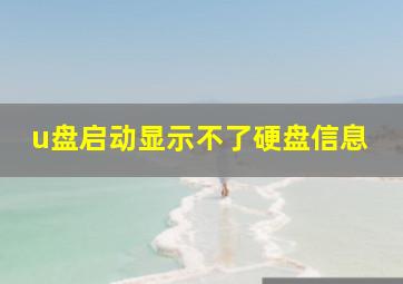 u盘启动显示不了硬盘信息