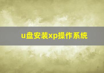 u盘安装xp操作系统