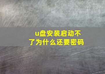 u盘安装启动不了为什么还要密码