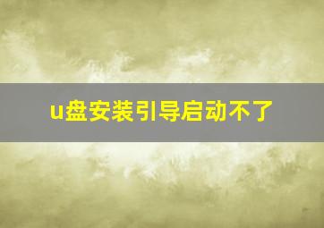 u盘安装引导启动不了