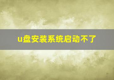 u盘安装系统启动不了