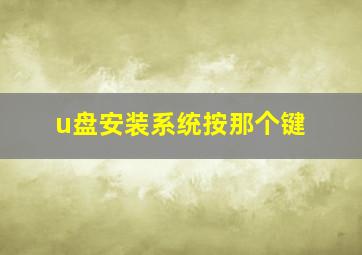 u盘安装系统按那个键