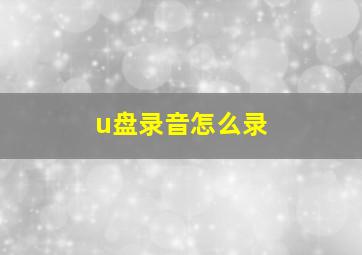 u盘录音怎么录