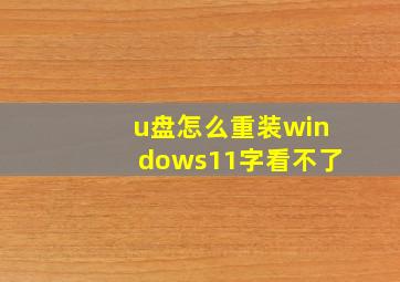 u盘怎么重装windows11字看不了