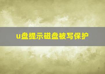 u盘提示磁盘被写保护