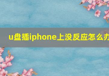 u盘插iphone上没反应怎么办