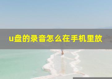 u盘的录音怎么在手机里放