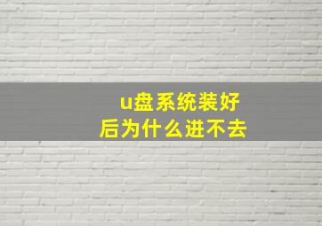 u盘系统装好后为什么进不去