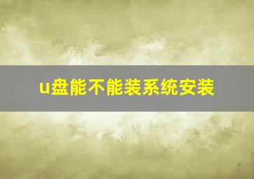 u盘能不能装系统安装