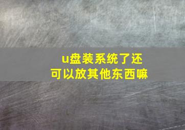 u盘装系统了还可以放其他东西嘛