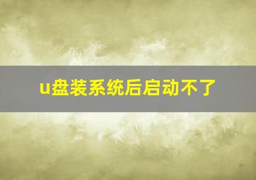 u盘装系统后启动不了