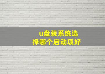 u盘装系统选择哪个启动项好