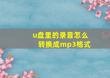 u盘里的录音怎么转换成mp3格式