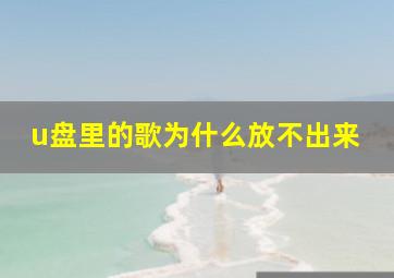 u盘里的歌为什么放不出来