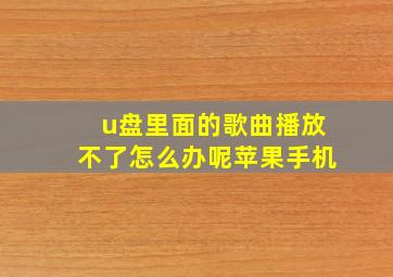 u盘里面的歌曲播放不了怎么办呢苹果手机