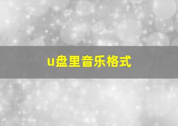 u盘里音乐格式