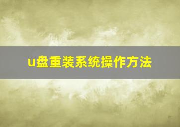 u盘重装系统操作方法