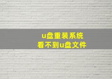 u盘重装系统看不到u盘文件