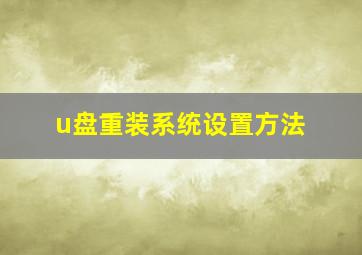 u盘重装系统设置方法