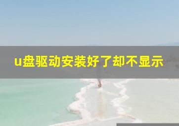 u盘驱动安装好了却不显示