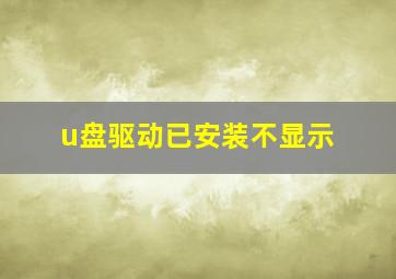 u盘驱动已安装不显示