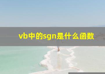 vb中的sgn是什么函数